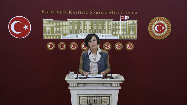 HDP'li Kerestecioğlu: