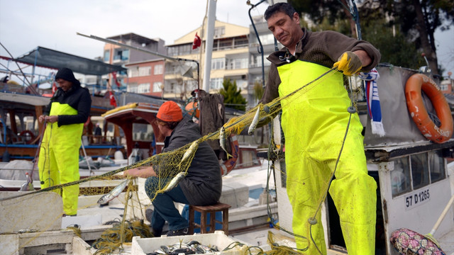 İstavrit bolluğu balıkçının yüzünü güldürdü