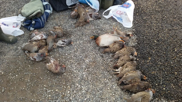 Kaçak avlanan 4 kişiye para cezası