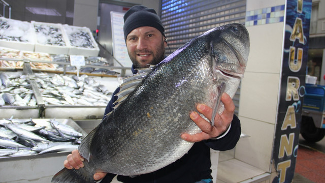 Karadeniz'de 8 kiloluk levrek yakalandı