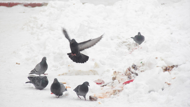 Kars'ta hava sıcaklığı gece eksi 26 derece ölçüldü