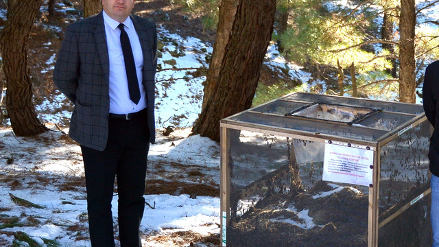 Kazdağları'nda çam kese böceğiyle mücadele