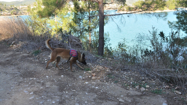 Manavgat'ta kayıp kişi için arama çalışması yapıldı