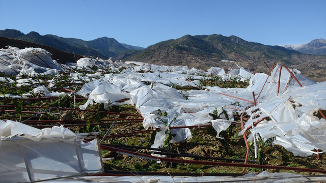 Mersin'de fırtına tarım alanlarına zarar verdi