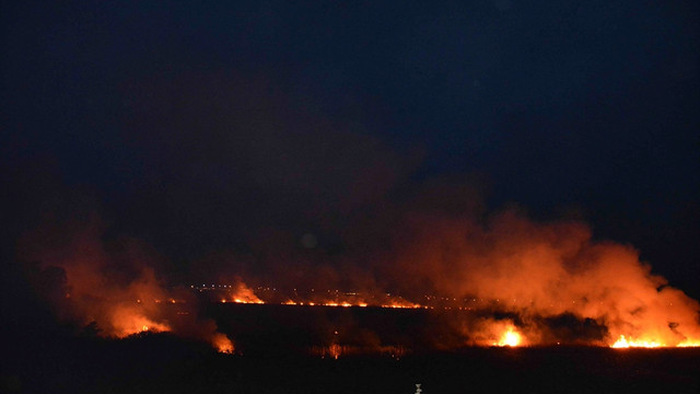 Muğla'da sazlık alanda yangını