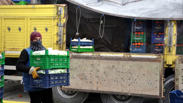 Muş Hali'nde sebze ve meyveler soğuktan dondu