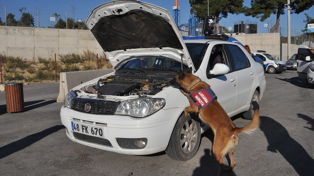 Narkotik köpeği Çıtır'ı acı biber bile yanıltamadı
