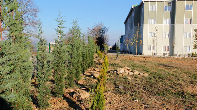 Sakarya ve Kocaeli'de 8 bin 253 fidan toprakla buluştu