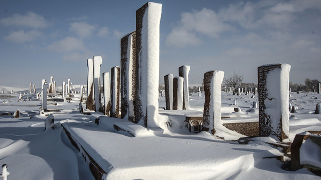 Sanal Alemde Ahlat Projesi