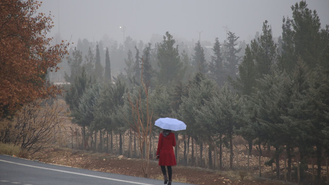Şanlıurfa'da yoğun sis
