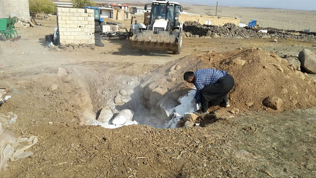 Şanlıurfa'da kuduz karantinası