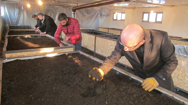 Solucanlarla organik gübre üretiyorlar