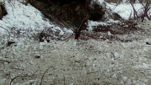 Teröristlerin yerleştirdiği patlayıcı güvenlik güçlerince imha edildi