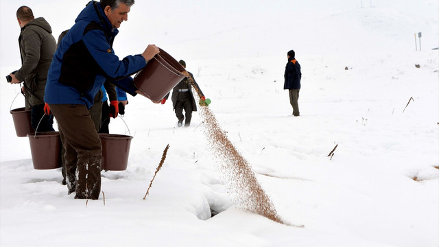 Vali Özefe, yaban hayvanları için doğaya yem bıraktı