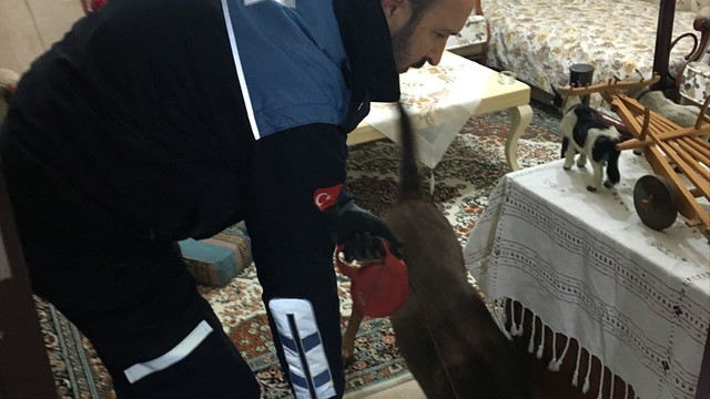 Adana, Gaziantep ve Kilis'te uyuşturucu operasyonu