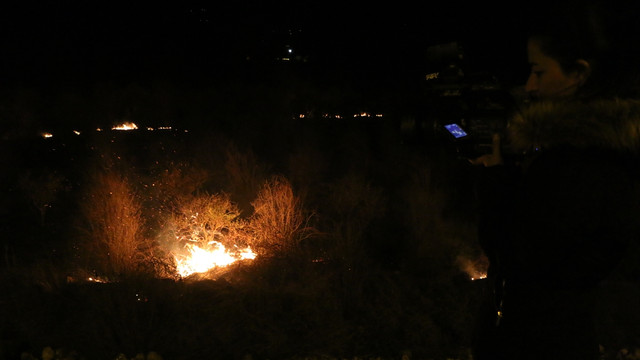 Antalya'da çalılık yangını