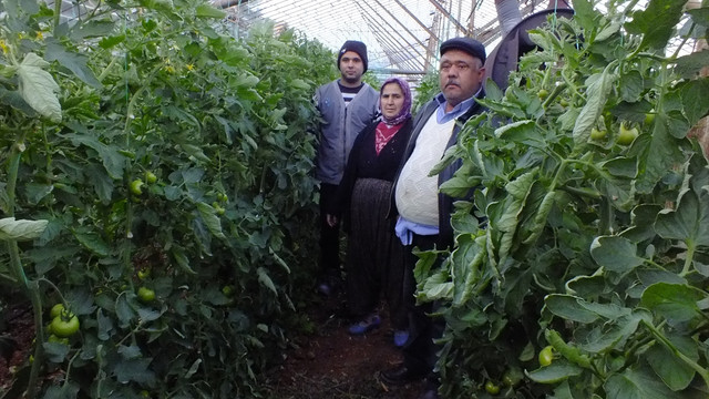 Antalya'da çiftçilerin don nöbeti