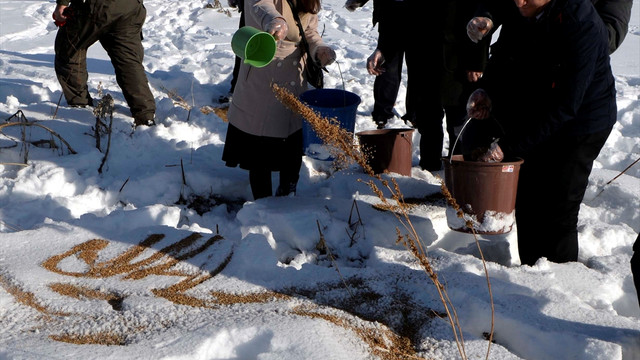 Ardahan'da yaban hayvanları için doğaya yem bırakıldı