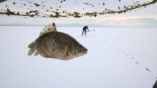 Beyşehir Gölü'nde Eskimo usulü balık avı