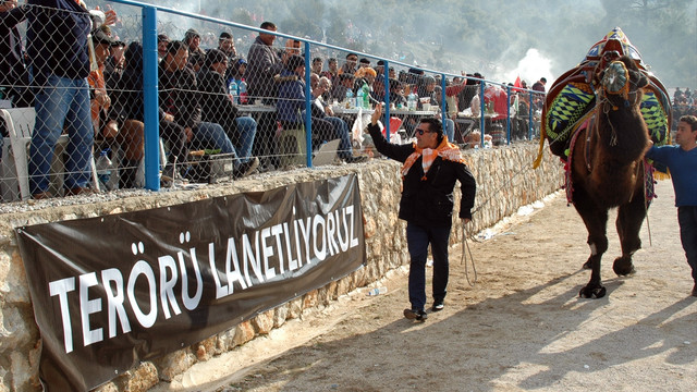 Deve güreşi festivalinde teröre tepki