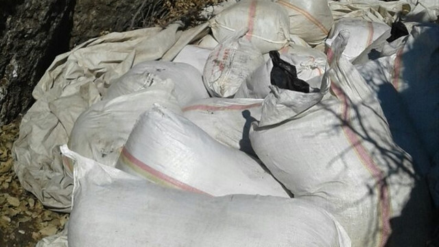 Diyarbakır'daki terör operasyonu