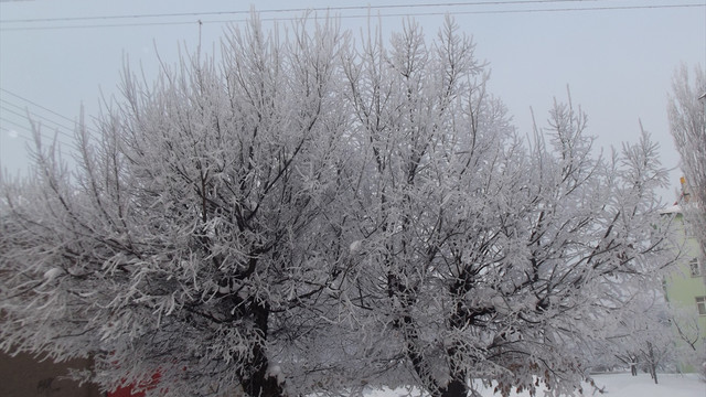 Doğu Anadolu'da soğuk hava