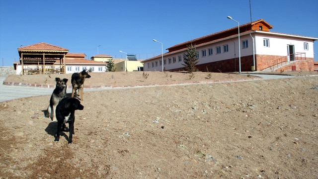 Elazığ'da hayvan hastanesi hizmete başladı