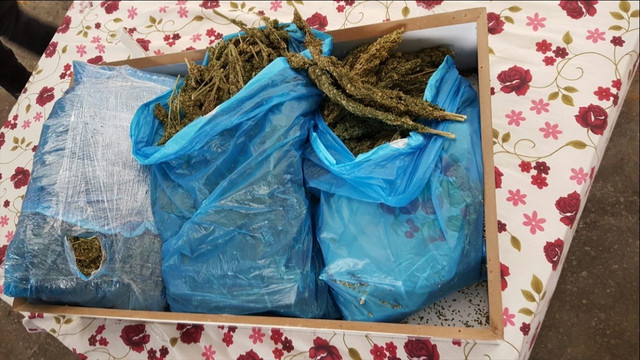 Erzurum'da uyuşturucu operasyonu