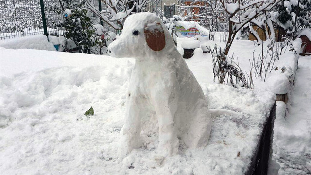 evinin bahcesinde kardan hayvan figurleri yapti guncel