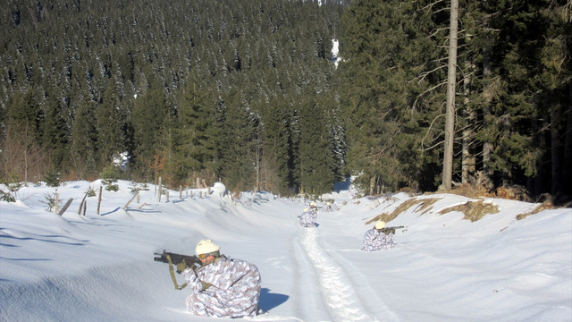 Giresun kırsalında PKK/KCK operasyonu