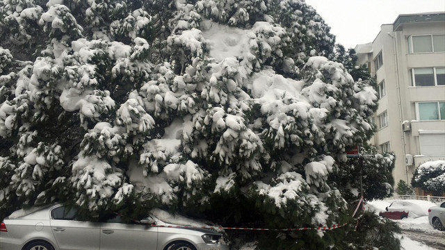 İstanbul'daki kar yağışı
