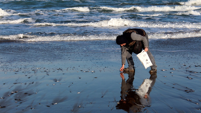 İstavrit ve hamsi kıyıya vurdu