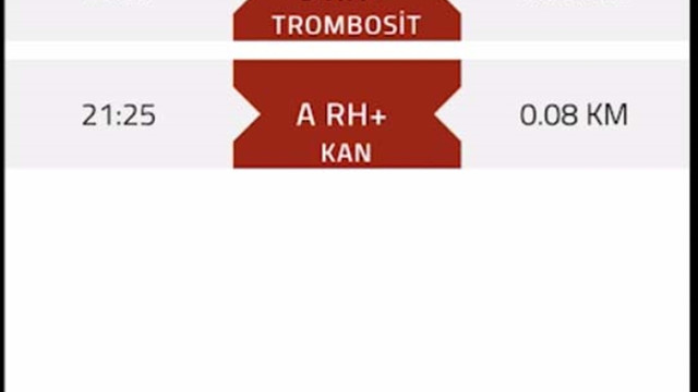 Kana mobil ulaşım