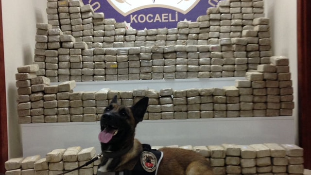Kocaeli'de 2016'da 2 ton uyuşturucu ele geçirildi