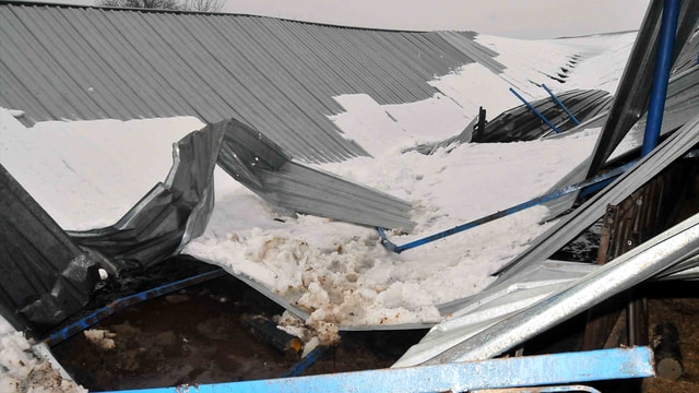 Muğla'da kar nedeniyle çiftlik çatısı çöktü