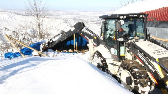 Samsun'da barınaktaki 165 küçükbaş telef oldu