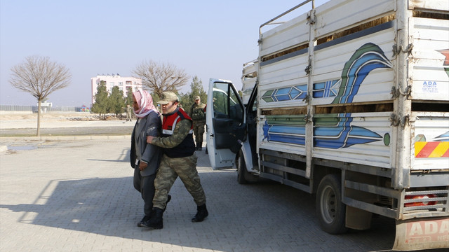 Şanlıurfa'da hayvan kaçakçılığı