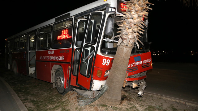 Adana'da halk otobüsü ağaçlara çarptı: 3 yaralı