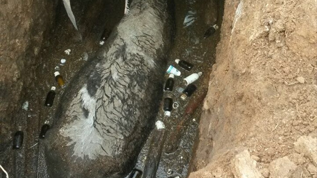 Çukura düşen boğayı itfaiye kurtardı