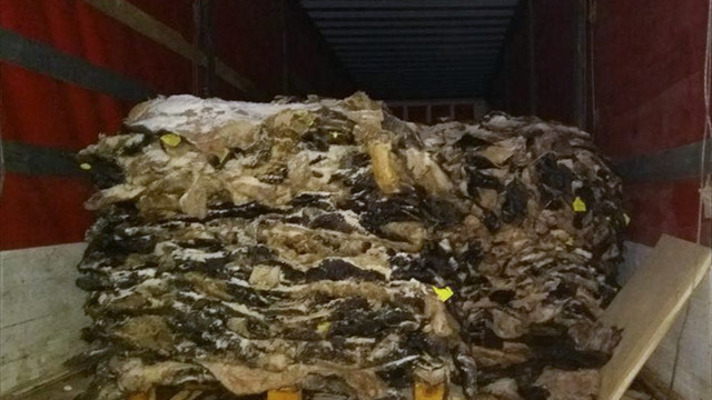 İzmir'de dolandırıcılık operasyonu