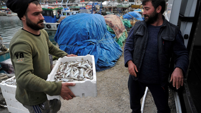 Karadeniz'de balık kalmadı