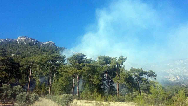 Muğla'da orman yangını